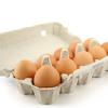 Eier Eier im Lieferservice Grashüpfer in Erlenbach